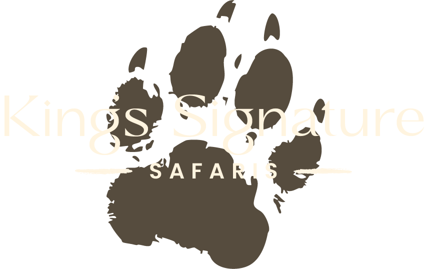 King's Signature Safaris