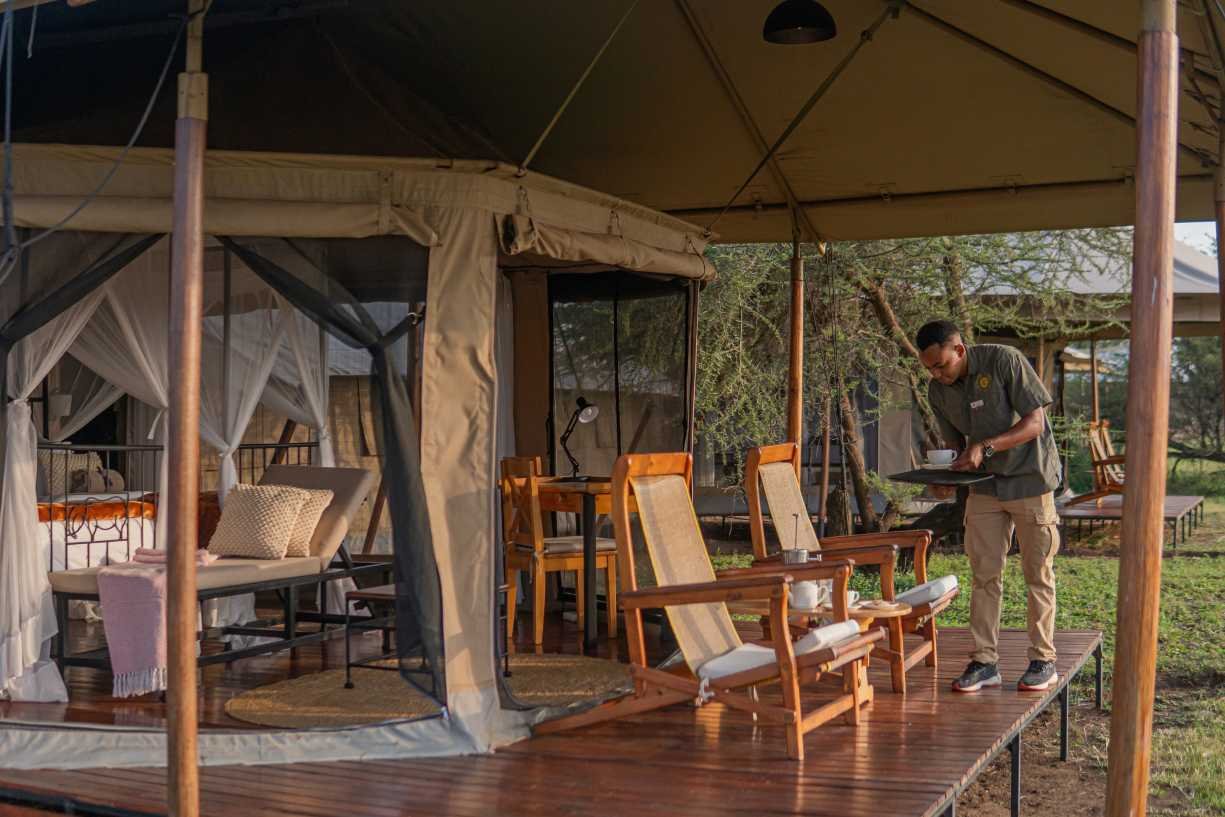 Intimate Seronera Tent